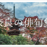 【奈良おもしろ俳句 30選】修学旅行の思い出!!季語を含む学生向けの俳句ネタ作品を紹介