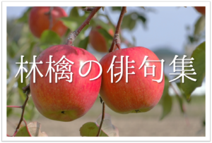 【林檎(りんご)の俳句 40選】秋に旬を迎える果物!!リンゴが食べたくなる有名句/一般作品を紹介