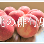 【赤とんぼの俳句 30選】秋の俳句(季語)に最適!!おすすめ有名俳句&一般作品を紹介!
