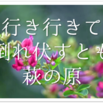 【河合曾良の有名俳句 20選】松尾芭蕉の弟子!!俳句の特徴や人柄･代表作など徹底解説！