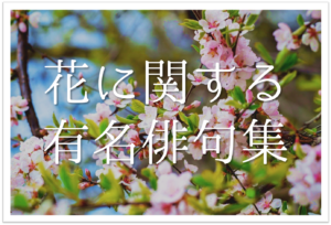 【花の有名俳句 30選】春・夏・秋・冬!!桜や紫陽花などの季語を含む名句を紹介