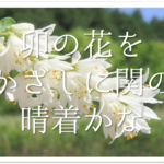 【河合曾良の有名俳句 20選】松尾芭蕉の弟子!!俳句の特徴や人柄･代表作など徹底解説！