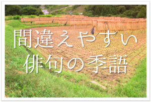 梅雨の季語 俳句集 選 中学生 高校生向け 俳句作りの参考になるネタ例を紹介 俳句の教科書 俳句の作り方 有名俳句の解説サイト