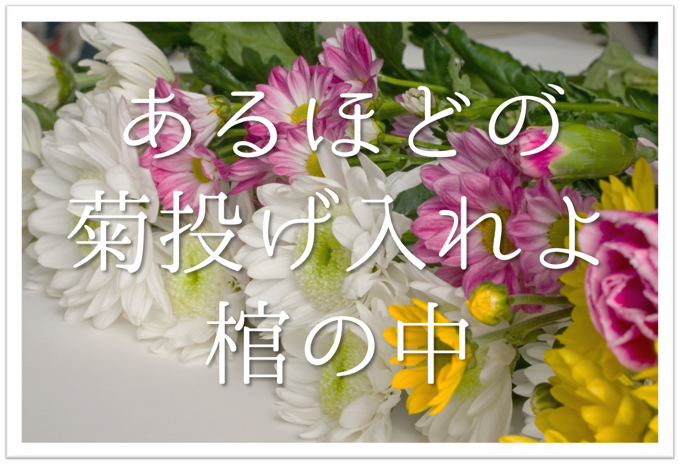 あるほどの菊投げ入れよ棺の中 俳句の季語や意味 解釈 表現