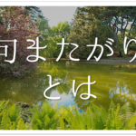 【俳句の字余り･字足らずとは】簡単にわかりやすく解説!!効果･何文字までOK？例文あり
