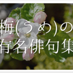 【鶯(ウグイス)の俳句 30選】春の季語!!おすすめ有名俳人＆一般人の俳句作品を紹介