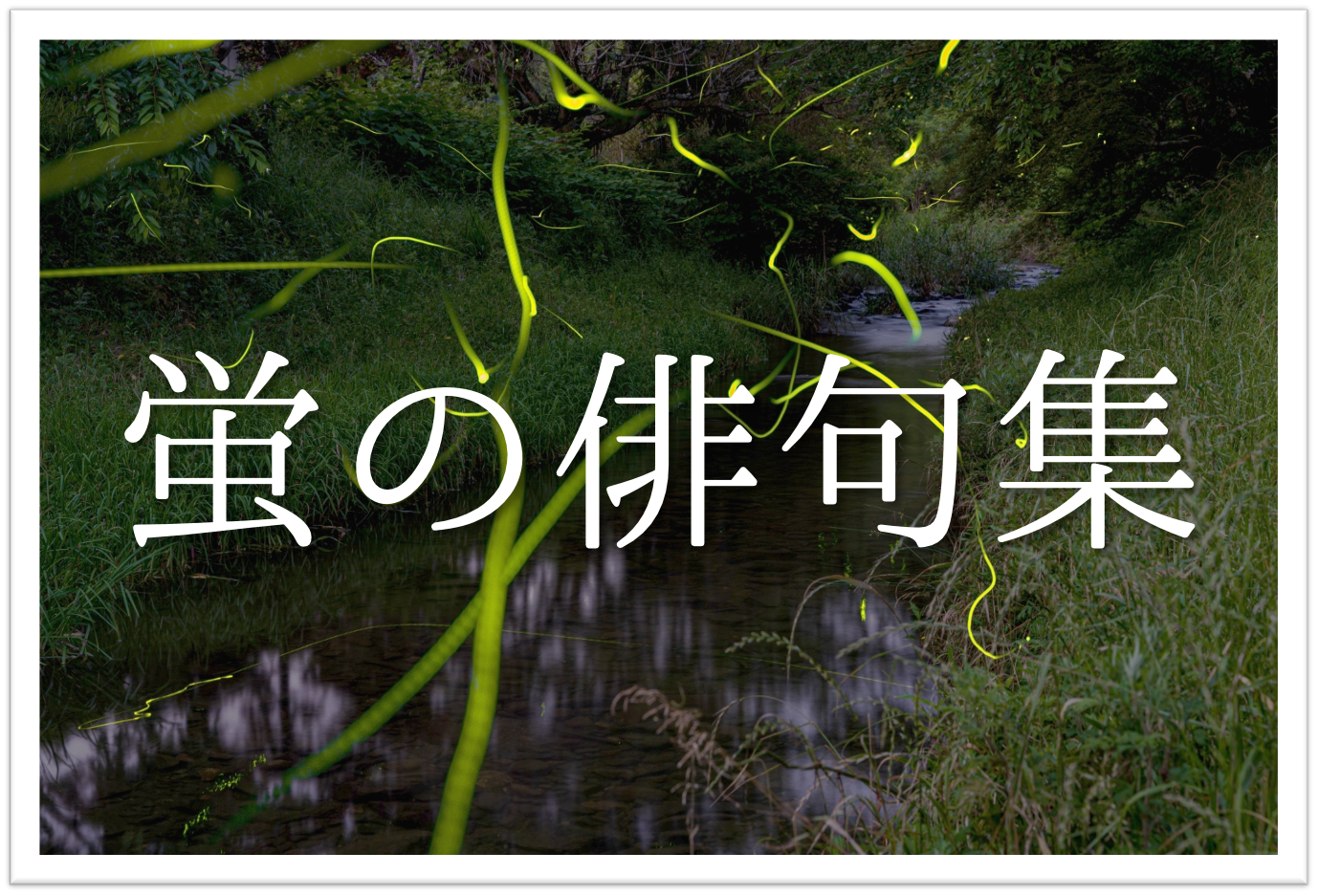 蛍の俳句 選 日本の初夏の風物詩 オススメの俳人名句 一般俳句ネタ例を紹介 俳句の教科書 俳句の作り方 有名俳句の解説サイト