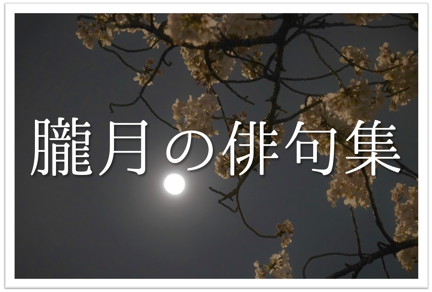 朧月の俳句 選 春の夜を象徴する 有名俳人の句 一般人の俳句を紹介 俳句の教科書 俳句の作り方 有名俳句の解説サイト