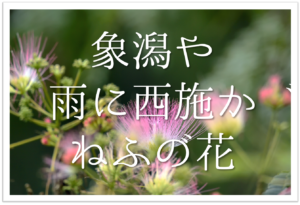 部活の俳句集 全30選 中学生向け バスケやテニス 吹奏楽 卓球 バレーなど 俳句の教科書 俳句の作り方 有名俳句の解説サイト 部活の俳句集 全30選 中学生向け バスケやテニス 吹奏楽 卓球 バレーなど 俳句の教科書 俳句の作り方 有名俳句の解説サイト