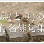 【猫をテーマに詠んだ俳句 30選】猫好き必見!!可愛らしい&面白い俳句を紹介