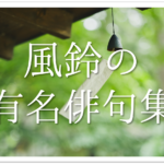 【朝顔の有名俳句 40選】すごく上手い!!季語を含んだおすすめ俳句作品集を紹介!