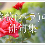 【梅に関する有名俳句 30選】日本の春の風物詩!!季語を含んだ俳人名句を紹介
