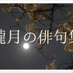 【夜桜の俳句 おすすめ30選】春の季語!!花見の季節に詠みたくなる有名俳句＆一般作品集！