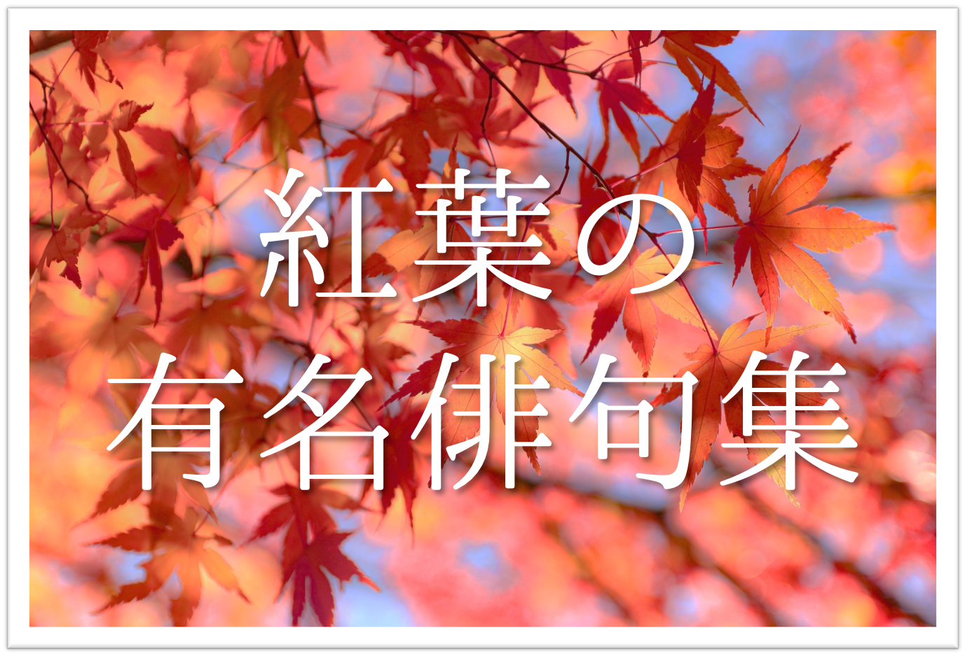 【紅葉(もみじ)の有名俳句 30選】日本の秋の風物詩!!季語を含むおすすめ俳句を紹介！