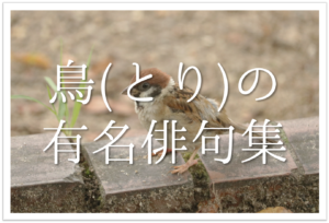 【鳥をテーマにした有名俳句 30選】春夏秋冬!!季語(鳥の名前)が入った俳句を紹介