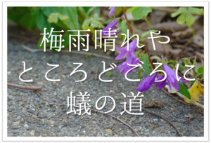 母の日に詠みたい俳句 選 母に捧げる おすすめ有名 一般俳句ネタを紹介