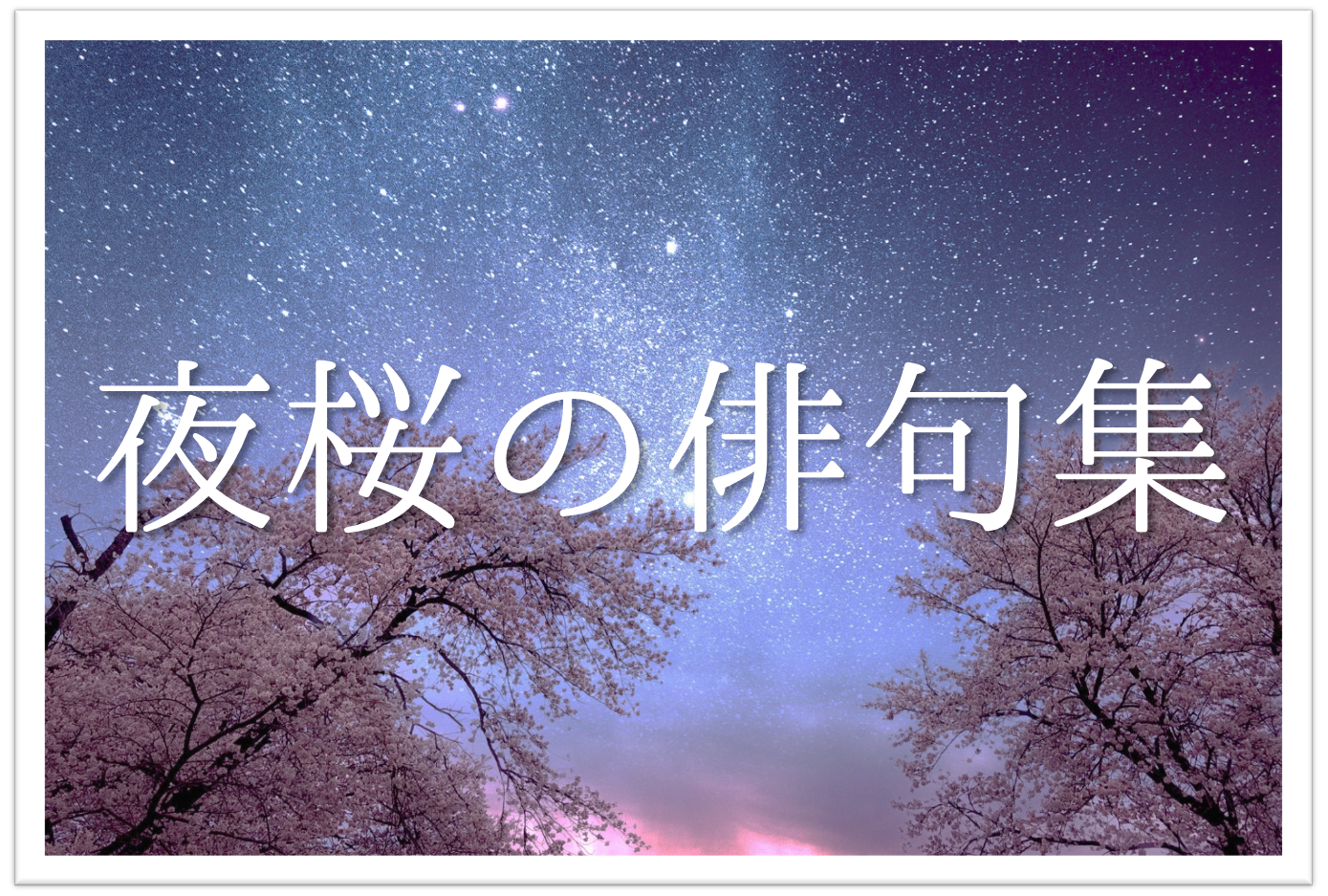 夜桜の俳句 おすすめ選 春の季語 花見の季節に詠みたくなる有名 一般俳句 俳句の教科書 俳句の作り方 有名俳句の解説サイト