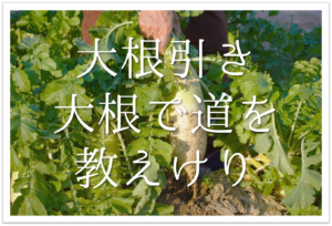 バレー 部活 おすすめ俳句 選 中学生 高校生向け 季語を含む俳句ネタ例を紹介 俳句の教科書 俳句の作り方 有名俳句の解説サイト