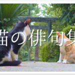 【犬をテーマに詠んだ俳句 30選】犬好き必見!!癒されてしまう俳句作品集を紹介!