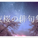 【薔薇(ばら)の俳句 30選】愛と美の象徴!!季語(夏)を含む有名俳人の句＆一般作品を紹介