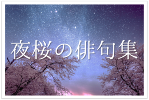 【夜桜の俳句 おすすめ20選】春の季語!!花見の季節に詠みたくなる有名＆一般俳句！