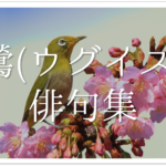 【猫をテーマに詠んだ俳句 30選】猫好き必見!!可愛らしい&面白い俳句を紹介