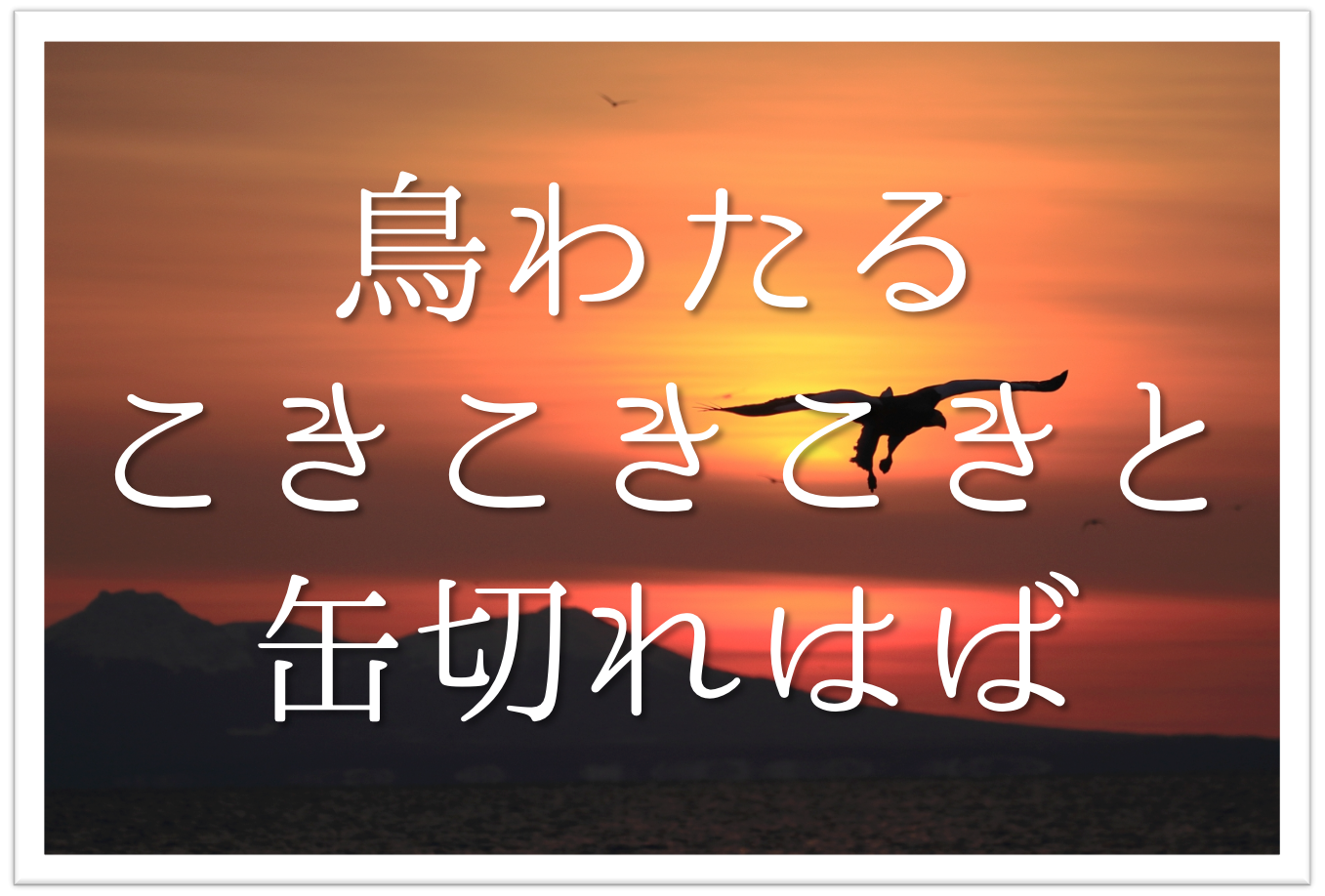 鳥わたるこきこきこきと缶切れば 俳句の季語や意味 表現技法 鑑賞 作者など徹底解説 俳句の教科書 俳句の作り方 有名俳句の解説サイト
