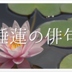 【梅に関する有名俳句 30選】日本の春の風物詩!!季語を含んだ俳人名句を紹介