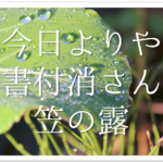 【松尾芭蕉の有名俳句 50選】知っておきたい!!俳句の特徴や人物像･代表作など徹底解説！