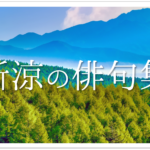【緑陰(木陰)の俳句 30選】夏の季語!!涼しい気持ちになる有名句&一般作品ネタを紹介