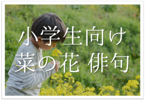 高校生向けの俳句 全24選 おすすめ 春 夏 秋 冬の季語を使った有名俳句作品を紹介 俳句の教科書 俳句の作り方 有名俳句の解説サイト