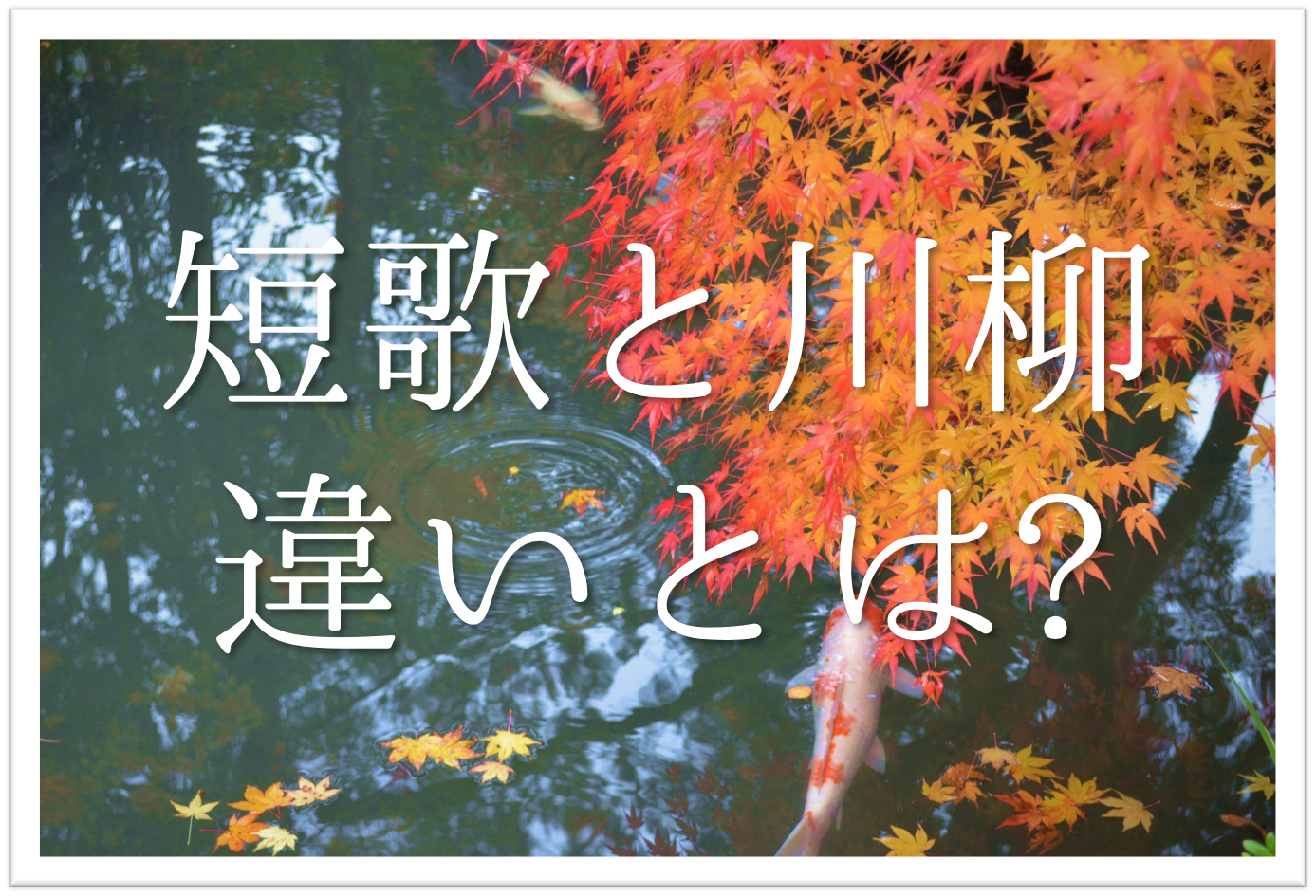短歌と川柳の違い 簡単にわかりやすく解説 ルールや特徴 歴史など 俳句の教科書 俳句の作り方 有名俳句の解説サイト