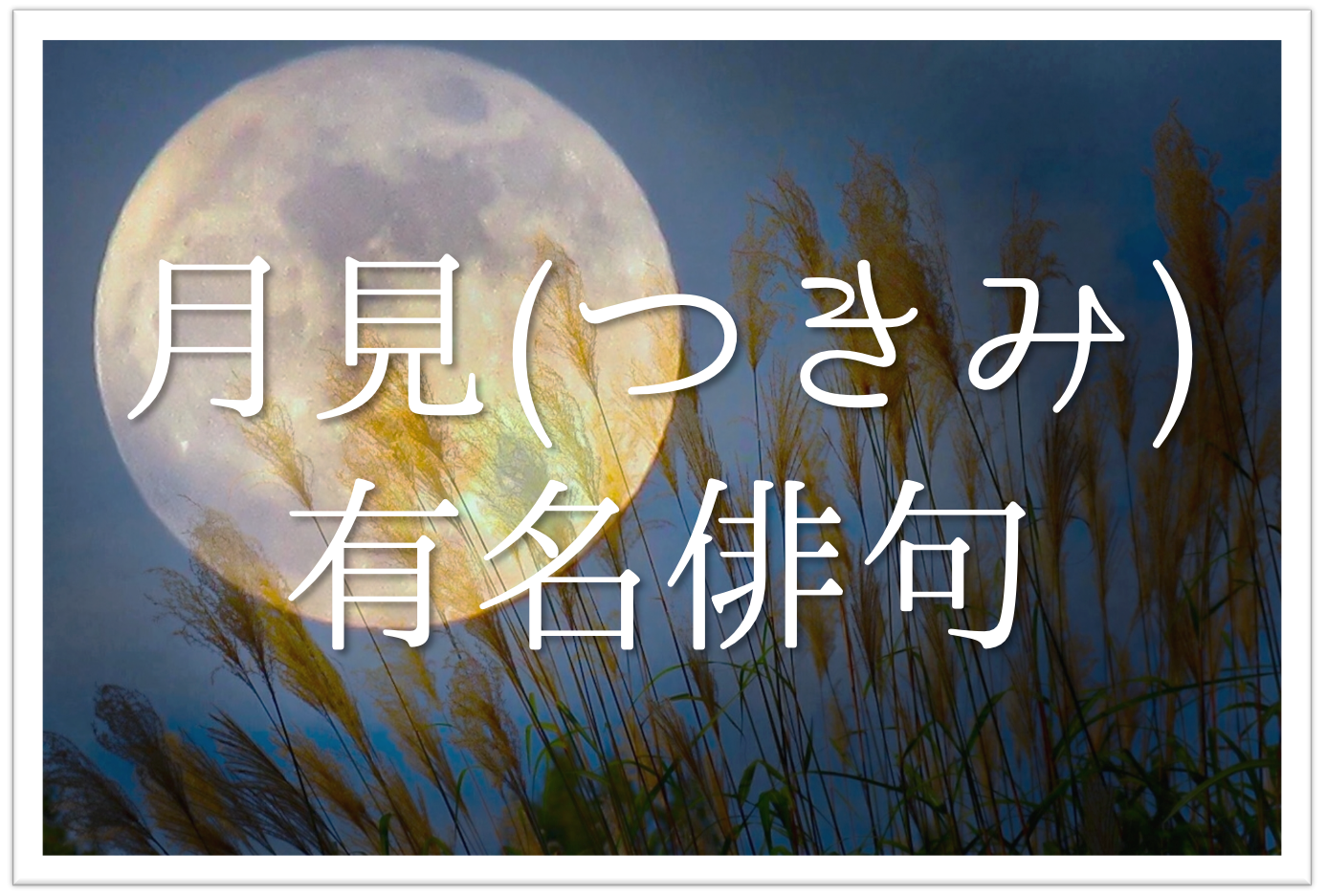 月見の有名俳句 選 秋の夜空に輝く風物詩 秋に詠みたい俳句集を紹介 俳句の教科書 俳句の作り方 有名俳句の解説サイト