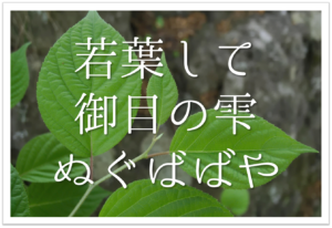 チチポポと鼓打たうよ花月夜 俳句の季語や意味 表現技法 鑑賞 作者など徹底解説 俳句の教科書 俳句の作り方 有名俳句の解説サイト