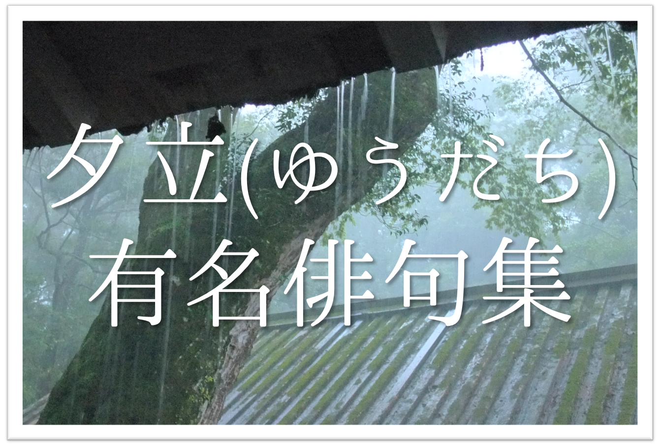 夕立の有名俳句 選 夏の季語 いろんな俳人が詠んだオススメ俳句を紹介 俳句の教科書 俳句の作り方 有名俳句の解説サイト