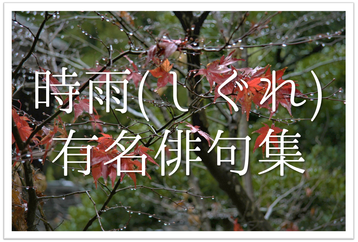 時雨の有名俳句 選 冬の季語 数々の俳人が詠んでき