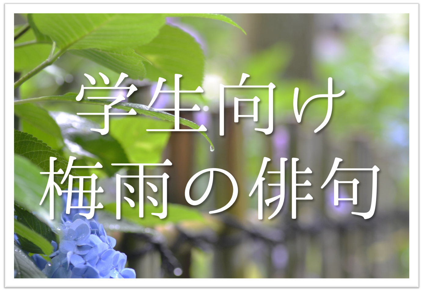 梅雨の季語 俳句集 選 中学生 高校生向け 俳句作りの参考になるネタ例を紹介 俳句の教科書 俳句の作り方 有名俳句の解説サイト