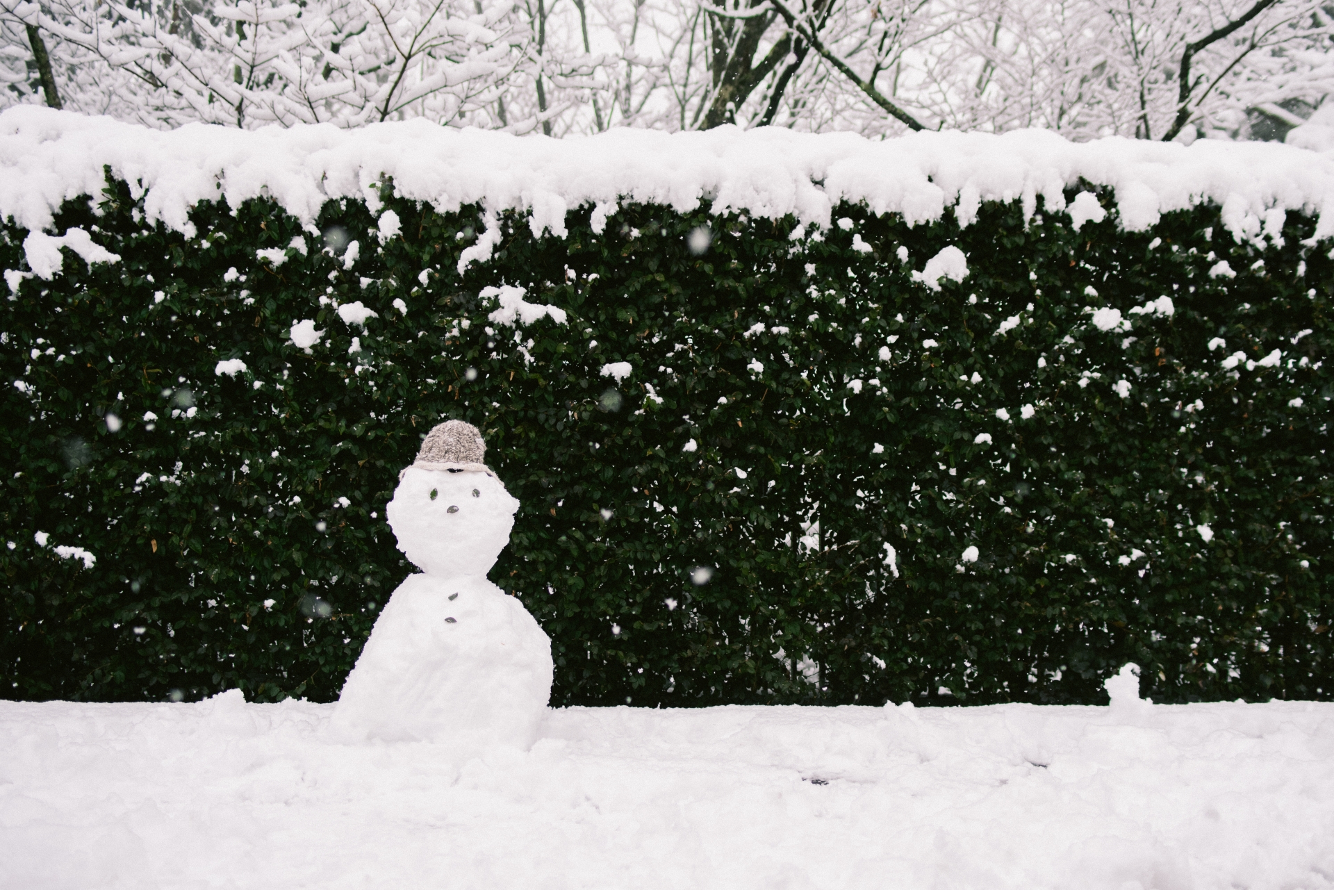 雪の俳句ネタ集 小学生 中学生向け選 冬の季語を使った俳句を紹介