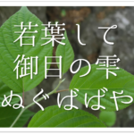 【松尾芭蕉の有名俳句 50選】知っておきたい!!俳句の特徴や人物像･代表作など徹底解説！