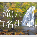 【緑陰(木陰)の俳句 30選】夏の季語!!涼しい気持ちになる有名句&一般作品ネタを紹介