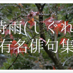 【春雨の俳句 30選】春の風物詩!!春に降る細やかな雨を詠んだ俳句ネタを紹介