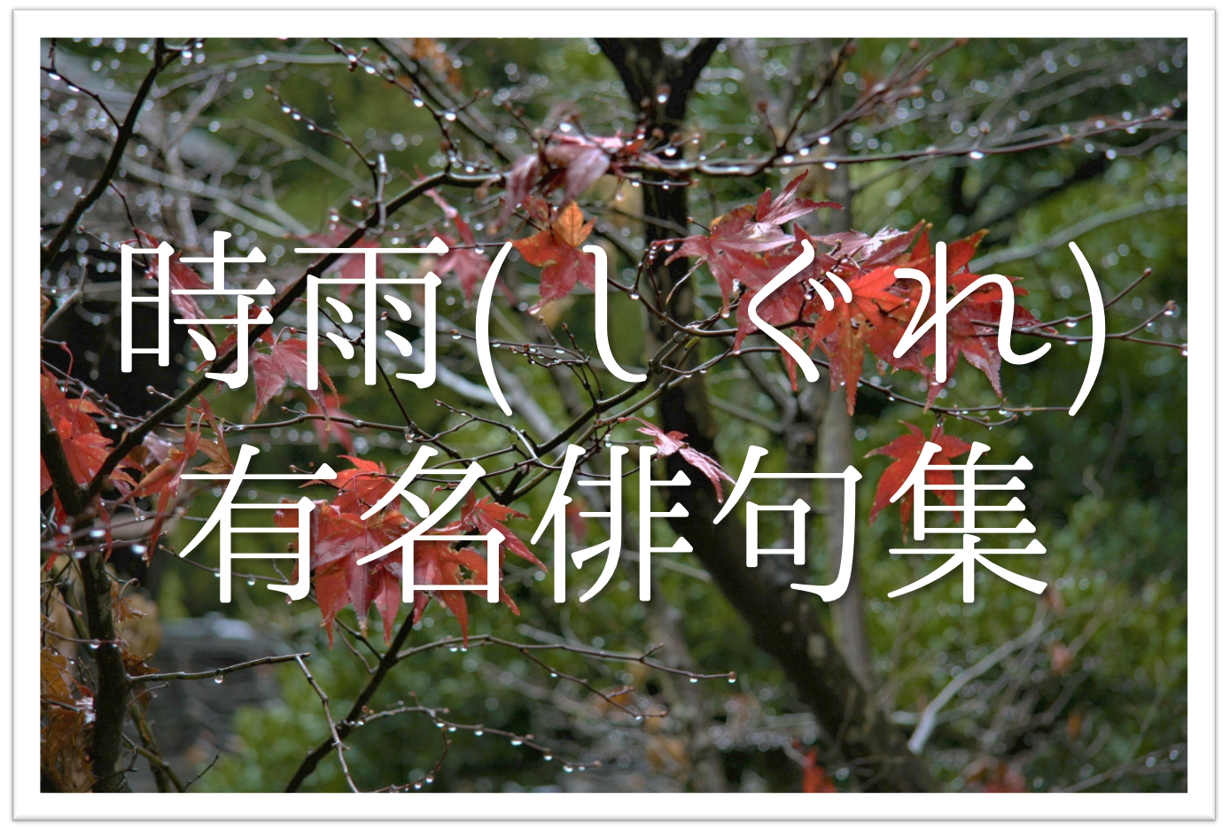 【時雨の有名俳句 20選】冬の季語!!数々の俳人が詠んできたオススメ俳句を紹介