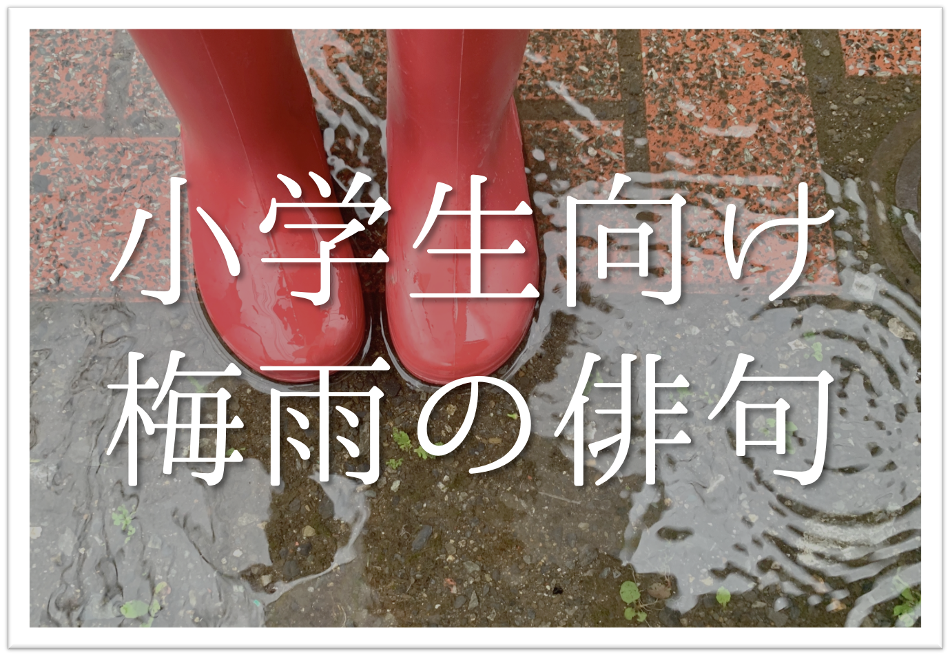 【梅雨の季語を使った俳句 20選】小学生向け!!面白い俳句ネタ例を紹介します