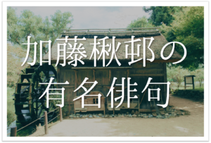星空へ店より林檎あふれをり 俳句の季語や意味 表現技法 鑑賞文 作者など徹底解説 俳句の教科書 俳句の作り方 有名俳句の解説サイト