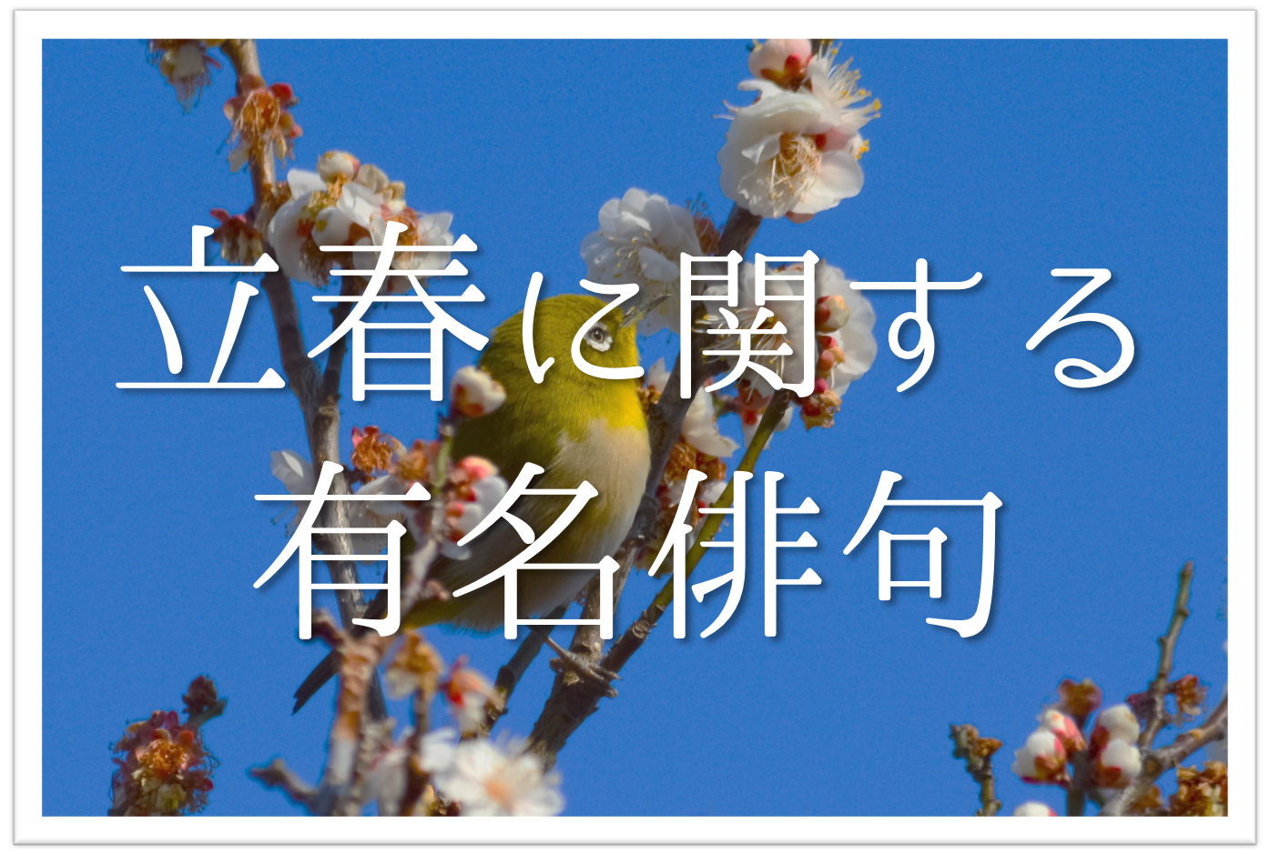 立春の有名俳句 選 春の訪れを感じる 季語を含むおすすめ俳人名句を紹介 俳句の教科書 俳句の作り方 有名俳句の解説サイト 立春の有名俳句 選 春の訪れを感じる 季語を含むおすすめ俳人名句を紹介 俳句の教科書 俳句の作り方 有名俳句の解説サイト