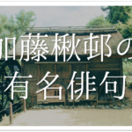 【燕はや帰りて山河音もなし】俳句の季語や意味･表現技法･鑑賞文･作者など徹底解説!!