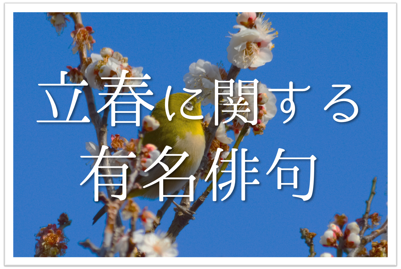 【立春の有名俳句 20選】春の訪れを感じる!!季語を含むおすすめ俳人名句を紹介
