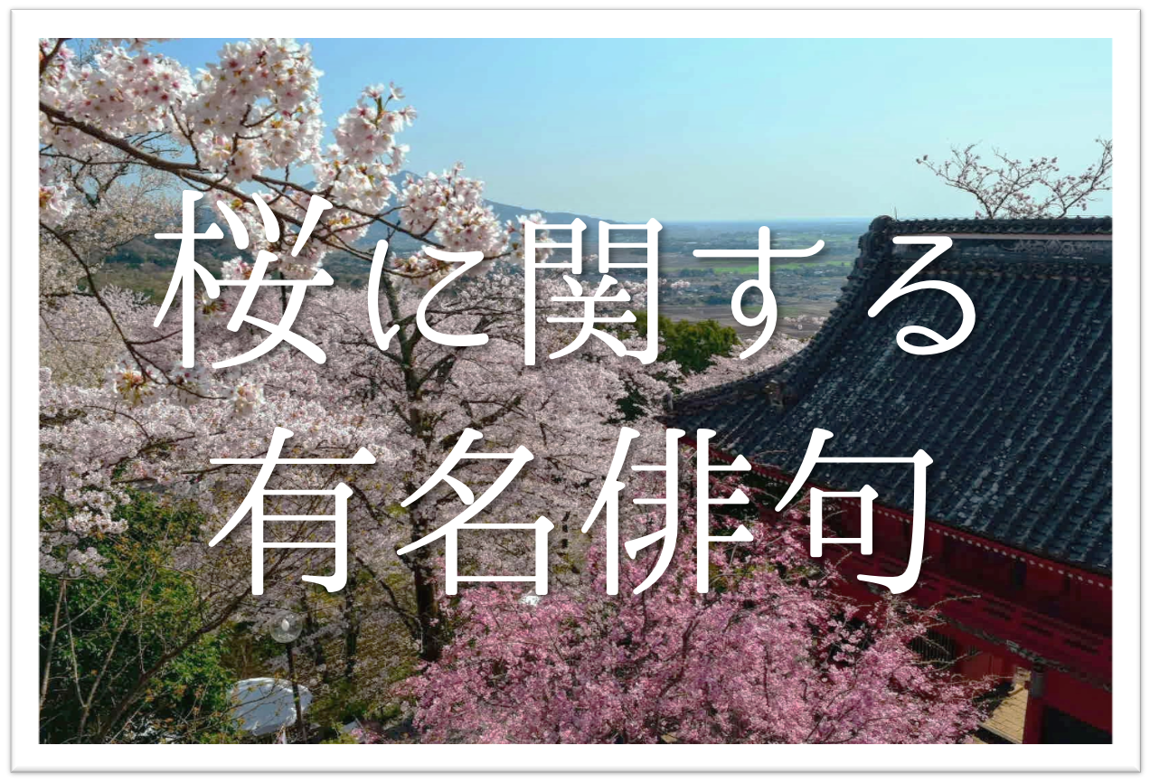 桜の有名俳句 40選 日本を象徴する花 春の季語を含むおすすめ俳人名句を紹介 俳句の教科書 俳句の作り方 有名俳句の解説サイト