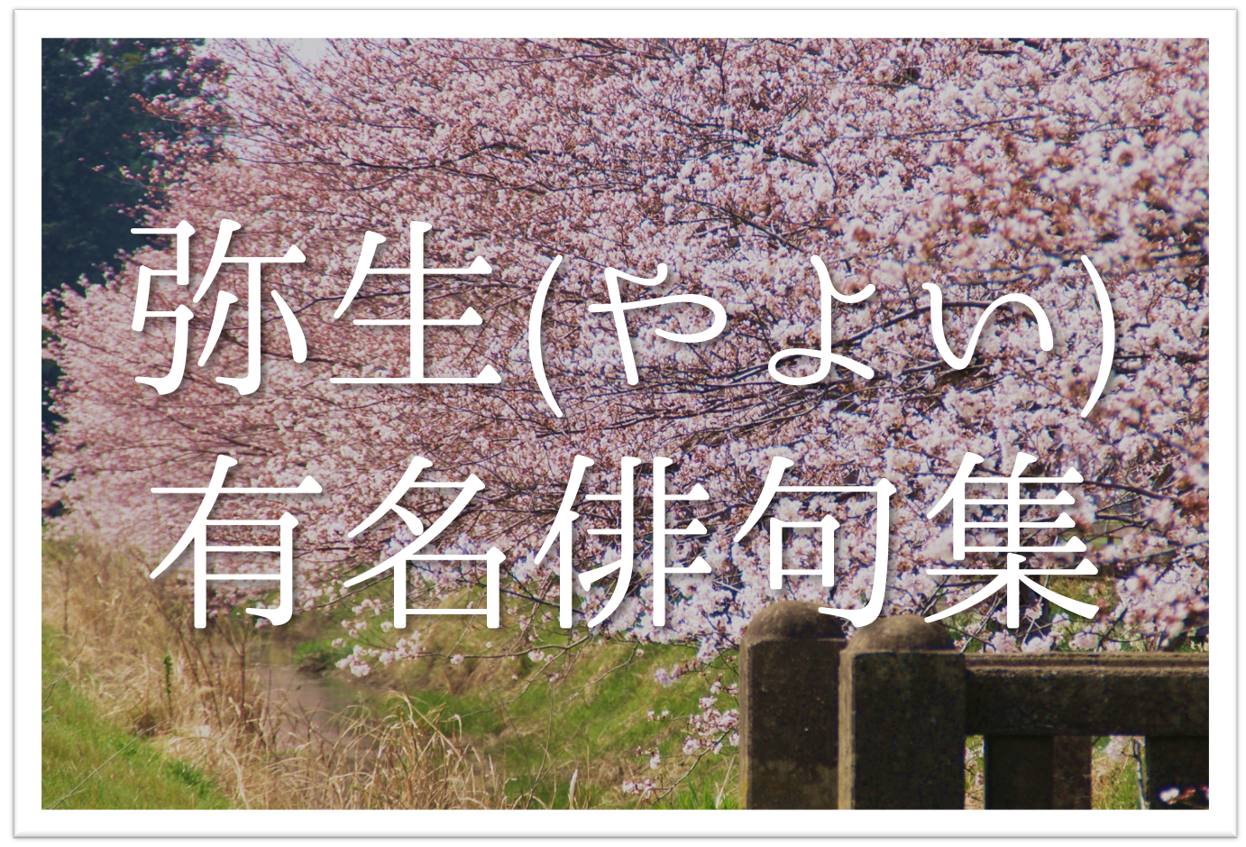 弥生の有名俳句 選 季語の意味や由来は 春を感じるおすすめ俳人名句を紹介 俳句の教科書 俳句の作り方 有名俳句の解説サイト