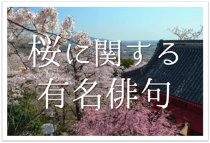 【桜の有名俳句 50選】日本を象徴する花!!春の季語を含むおすすめ俳人名句を紹介！
